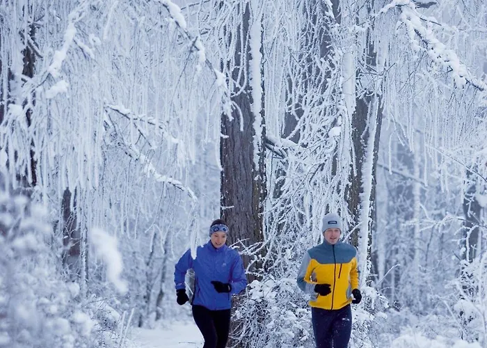 Haus Rainbach 3* Umhausen